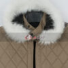 Solo Leveling Season 2 Jin-woo Sung Brown Coat