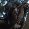 Kraven the Hunter 2024 Aaron Taylor-Johnson Shearling Jacket