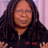 The View Hoodie